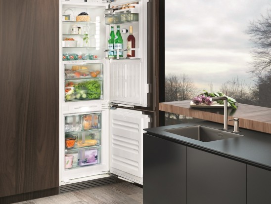 Kühl- und Gefrierkombination - Kühlschrank mit Gefrierfach von Elektro Grünwald